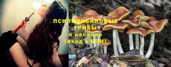 синтетический гашиш Абинск